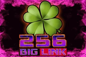 game of Big Link 256