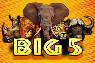game of Big 5