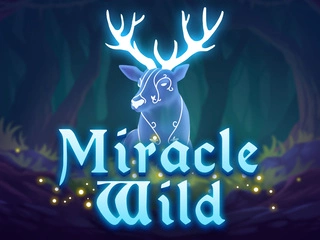 game of Miracle Wild
